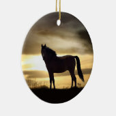 Mooie paarden in het Ornament van de zon (Rechts)