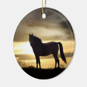 Mooie paarden in het Ornament van de zon (Links)