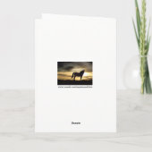 Mooie paarden in het zuidwesten van de zondag kaart (Achterkant)