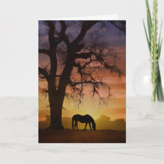 Mooie paarden in het zuidwesten van de zondag kaart
