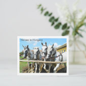 Mooie paarden in Hongarije Briefkaart (Staand voorkant)