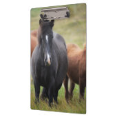 Mooie paarden klembord (Links)