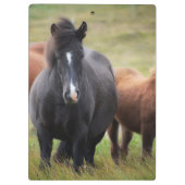Mooie paarden klembord (Achterkant)