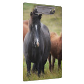 Mooie paarden klembord (Rechts)
