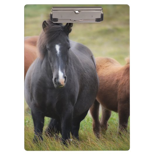 Mooie paarden klembord (Voorkant)
