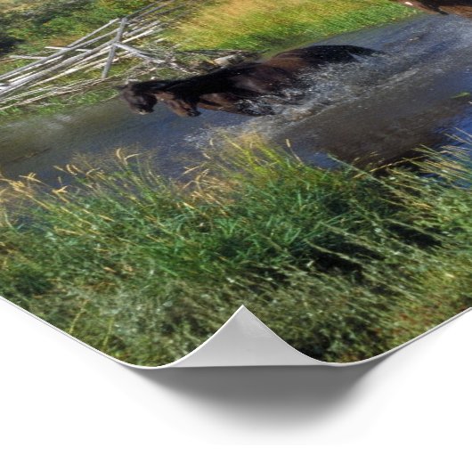 Mooie paarden kruisen een bergstroom aan poster (Hoek)