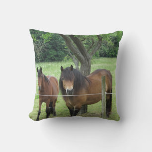 Mooie paarden kussen
