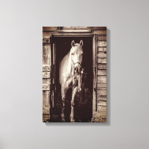 Mooie paarden landbouwhuisdieren bruin canvas afdruk