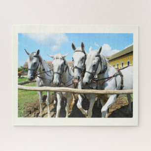 Mooie paarden legpuzzel