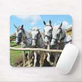 Mooie paarden muismat (Met muis)