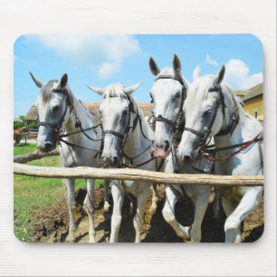 Mooie paarden muismat