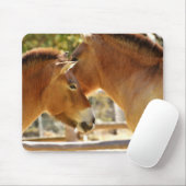 Mooie paarden muismat (Met muis)