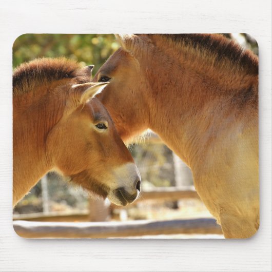 Mooie paarden muismat (Voorkant)