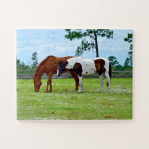 Mooie paarden op een ranch legpuzzel