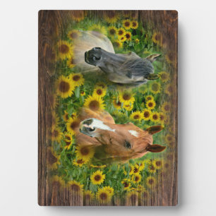 Mooie paarden op het gebied van zonnebloemen fotoplaat