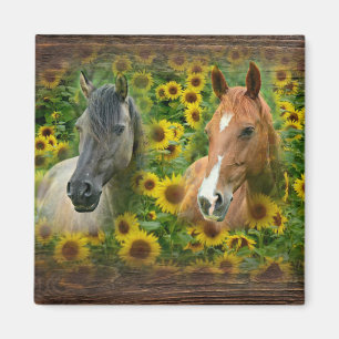 Mooie paarden op het gebied van zonnebloemen magneet
