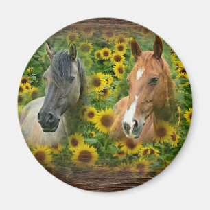 Mooie paarden op het gebied van zonnebloemen magneet