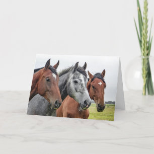 Mooie Paarden Paardensport Design Kaart