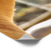 Mooie paarden poster (Hoek)