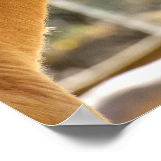 Mooie paarden poster (Hoek)