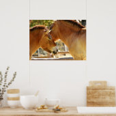 Mooie paarden poster (Keuken)