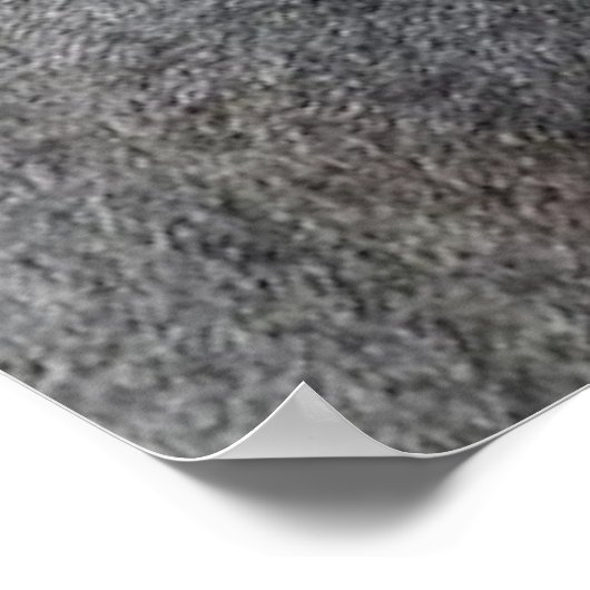 Mooie paarden poster (Hoek)