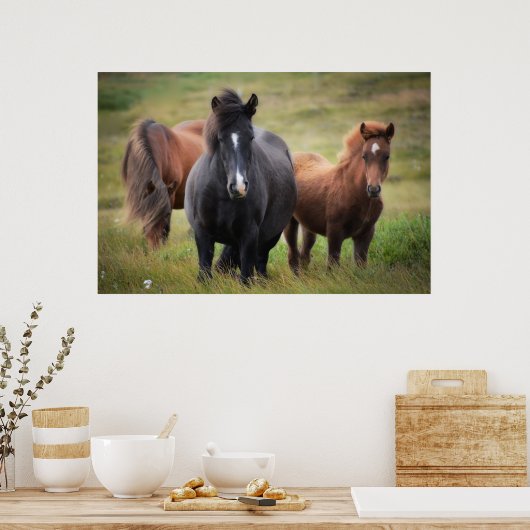 Mooie paarden poster (Keuken)