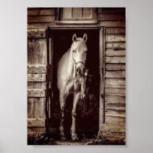 Mooie paarden Rustic Brown Barn Poster