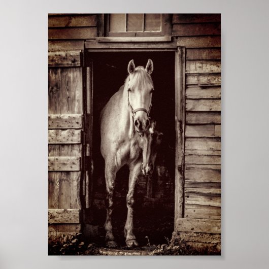 Mooie paarden Rustic Brown Barn Poster (Voorkant)