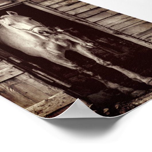 Mooie paarden Rustic Brown Barn Poster (Hoek)