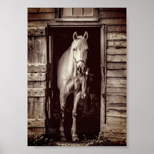 Mooie paarden Rustic Brown Barn Poster (Voorkant)