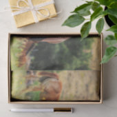 Mooie paarden tissuepapier (Geschenk)