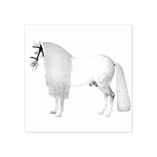 Mooie paardenhengst Long Mane | Rubberstempel (Afrduk)