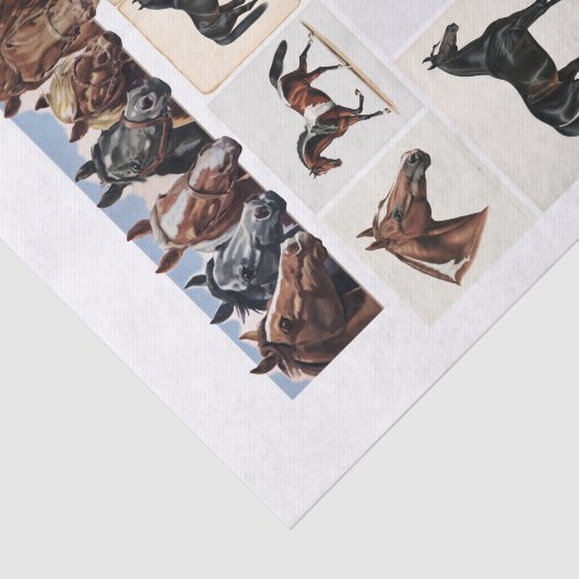 Mooie paardenillustraties en efemera tissuepapier (Detail)