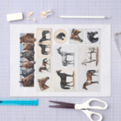 Mooie paardenillustraties en efemera tissuepapier (Craft)