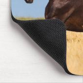 Mooie paardenmuis muismat (Hoek)