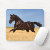 Mooie paardenmuis muismat (Met muis)