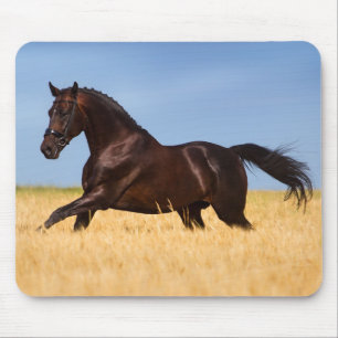 Mooie paardenmuis muismat