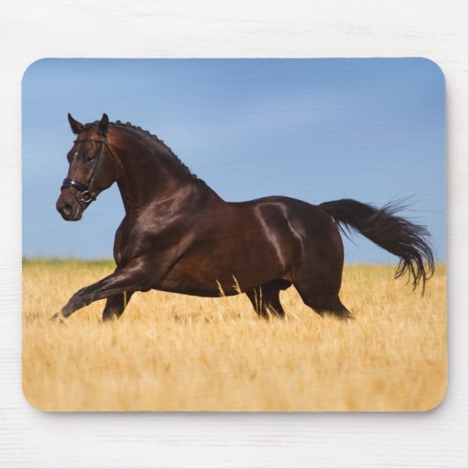 Mooie paardenmuis muismat (Voorkant)