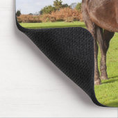 Mooie paardenmuis muismat (Hoek)