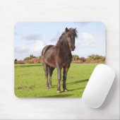Mooie paardenmuis muismat (Met muis)