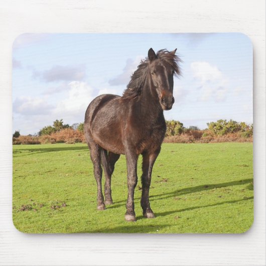Mooie paardenmuis muismat (Voorkant)