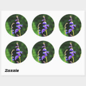 Mooie Paars wilde bloemen in Bloom in Canada Ronde Sticker (Vel)