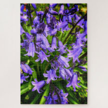 Mooie paarse bloemen
