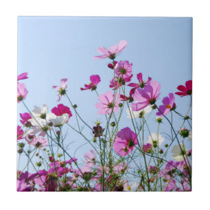 Mooie Paarse Bloemenweide Tegeltje