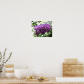 Mooie Paarse Buddleia Bloemen Print (Keuken)