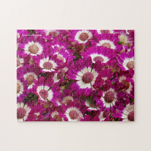 Mooie Paarse Cineraria Flowers Legpuzzel (Horizontaal)