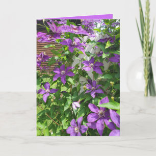 Mooie Paarse Clematis Bloemige Blanco Kaart