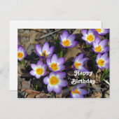 Mooie Paarse Crocus Bloem Foto Verjaardag Briefkaart (Voorkant / Achterkant)