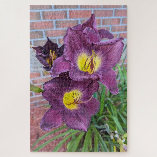Mooie Paarse Daglelies Legpuzzel (Verticaal)
